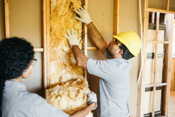 Trusted Pima, AZ Insulation Contractor Experts