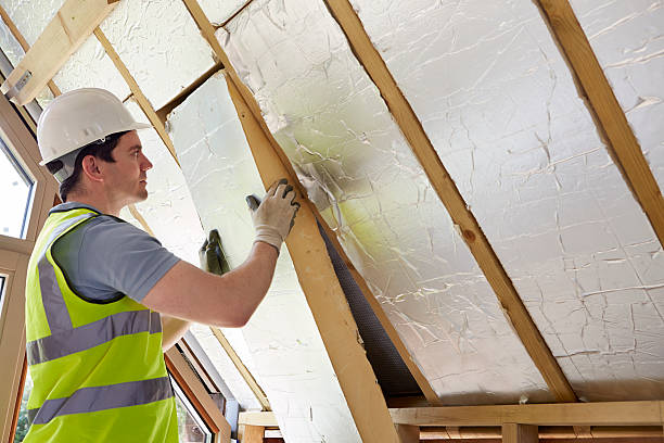 Best Spray Foam Insulation  in Pima, AZ